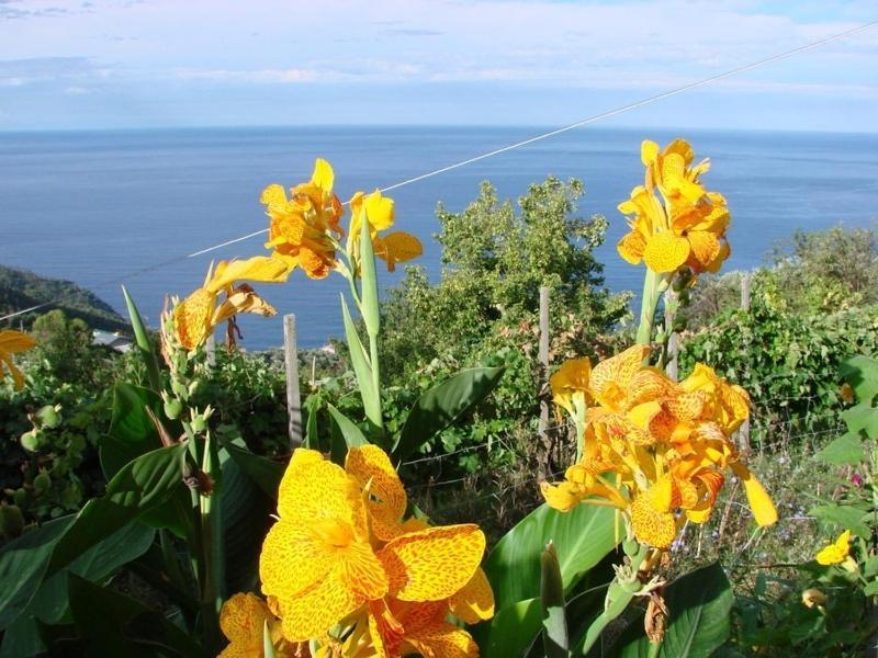 Case Vacanza Reggimonti Cinque Terre Бонассола Экстерьер фото