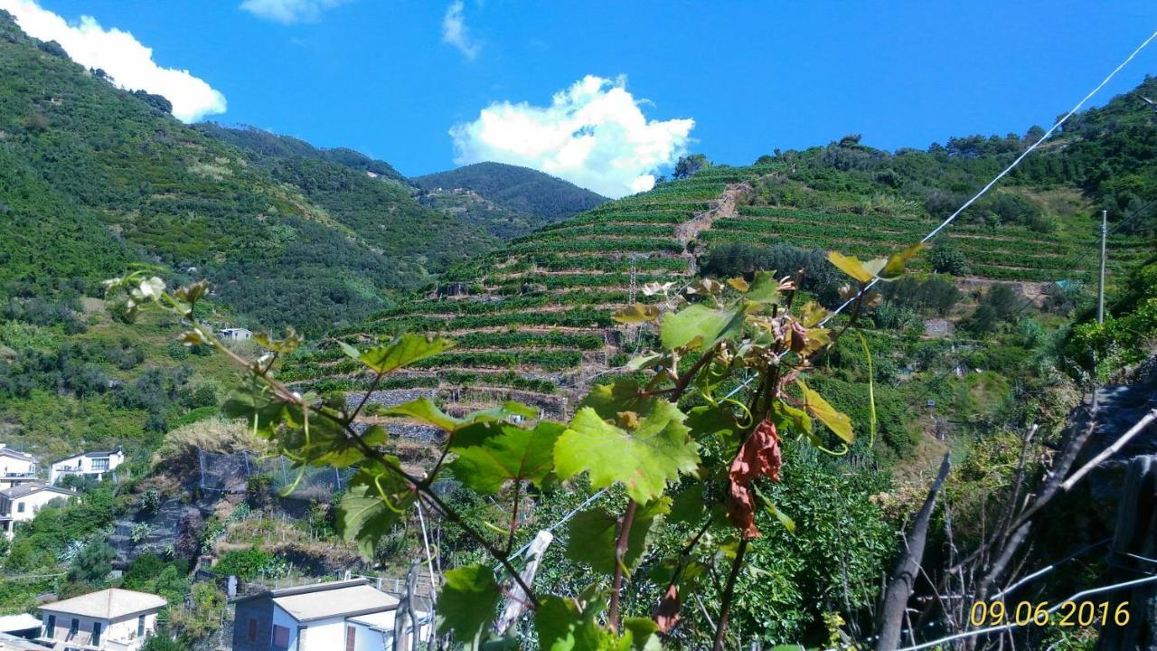 Case Vacanza Reggimonti Cinque Terre Бонассола Экстерьер фото
